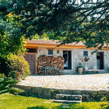 Bed and Breakfast The Quixote House Каминья Экстерьер фото